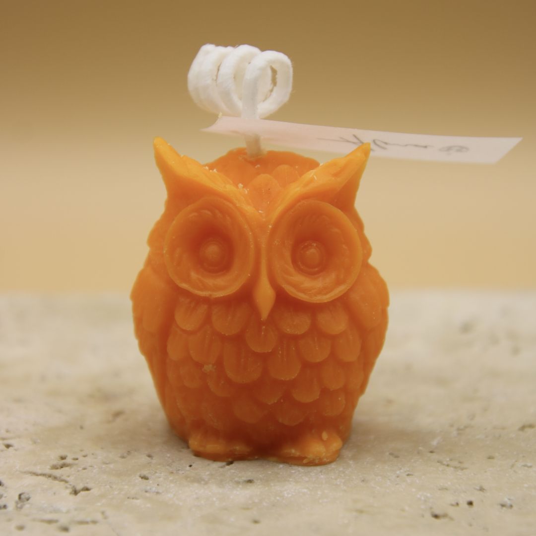 bulk-tiny-owl-117