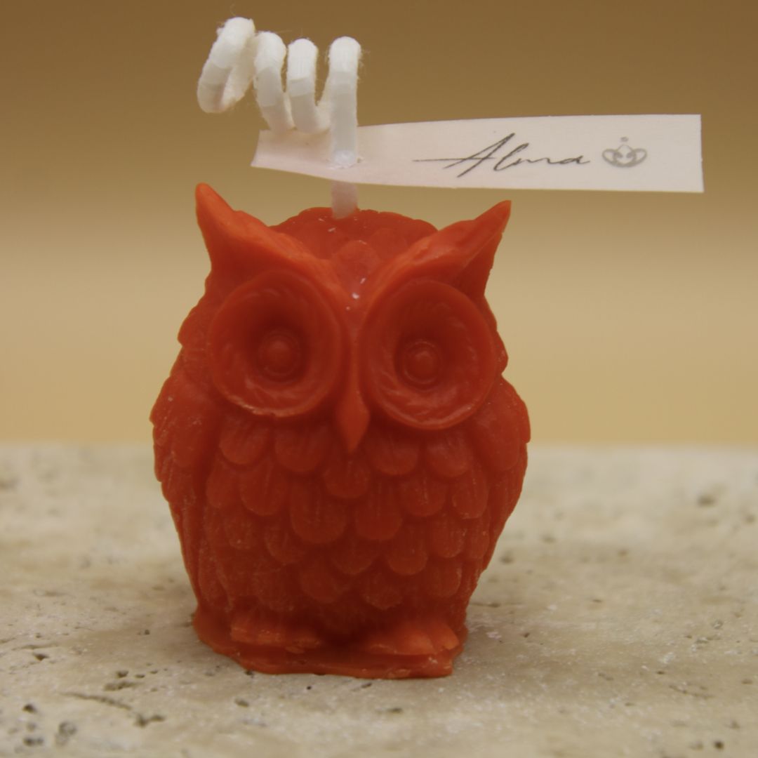 bulk-tiny-owl-117