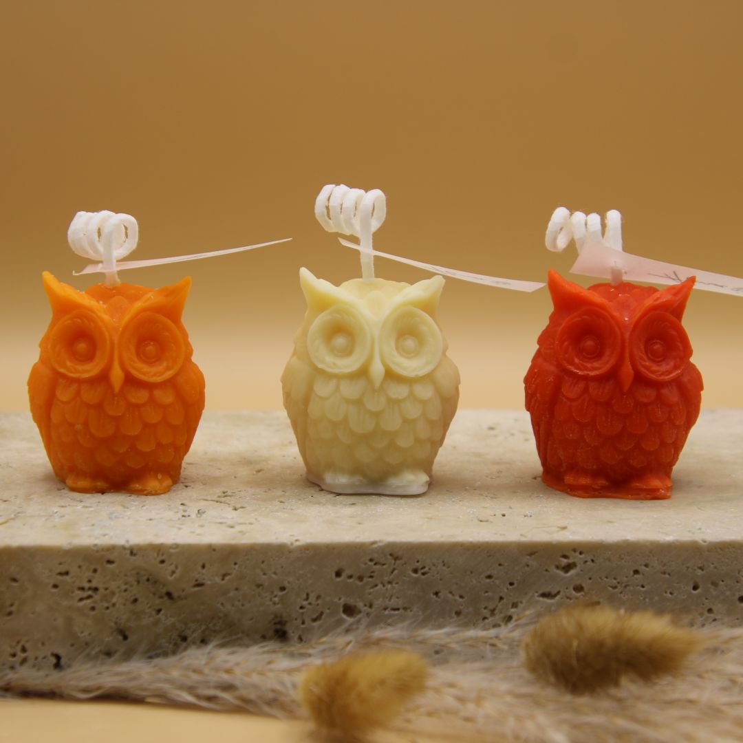 bulk-tiny-owl-117