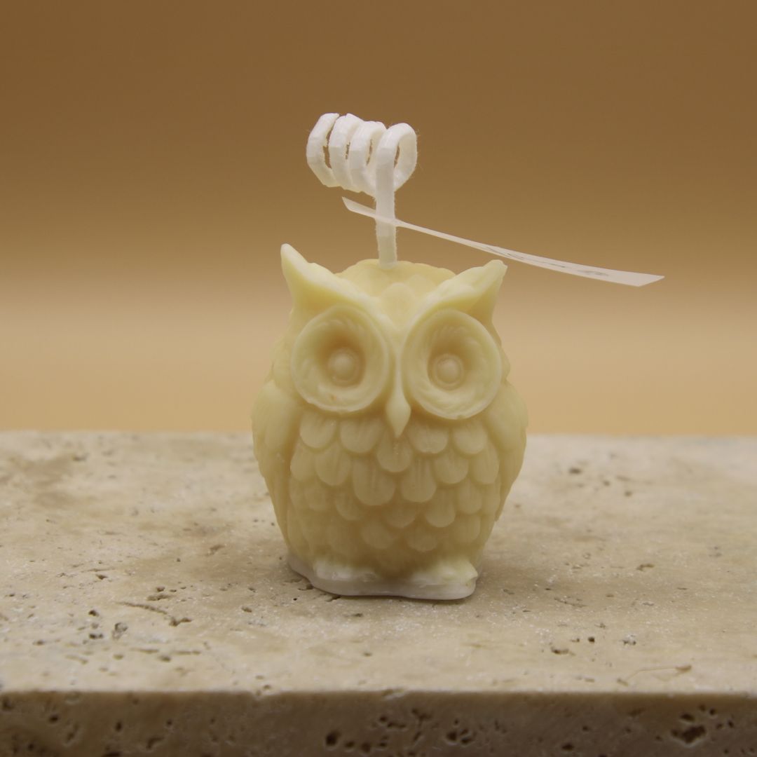 tiny-owl-188