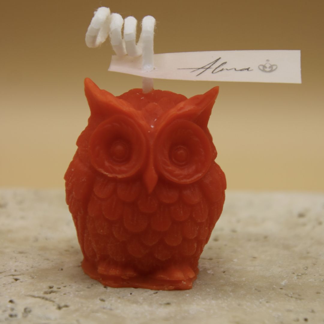 tiny-owl-188